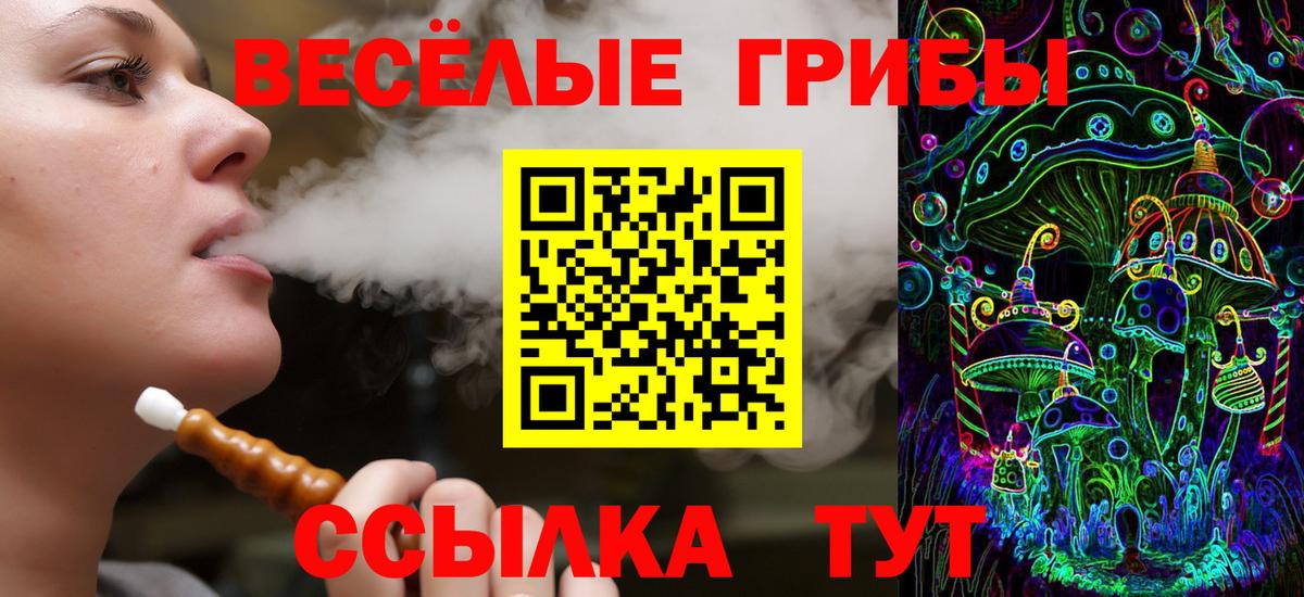 Галлюциногенные грибы прущие грибы  Вход с VPN  Гагарин 