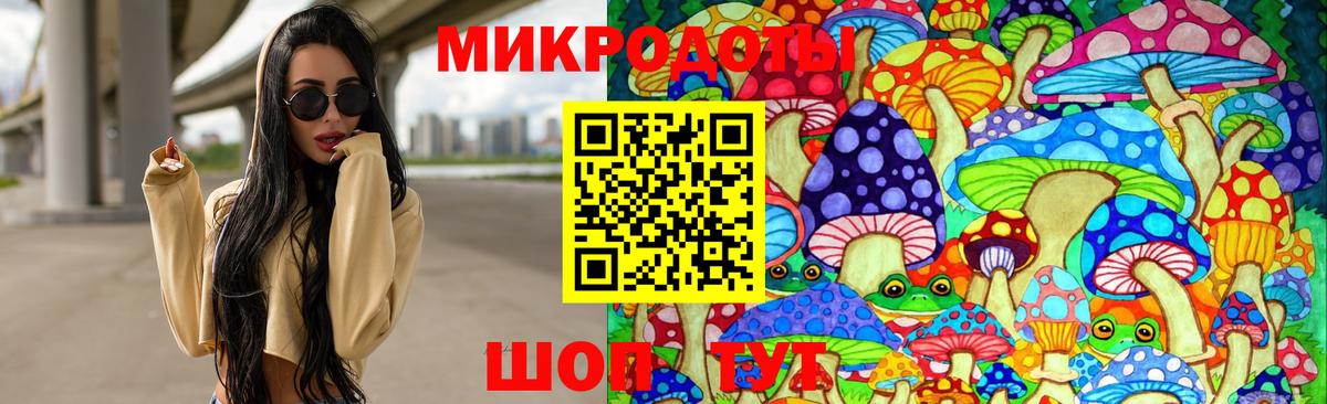 Псилоцибиновые грибы мухоморы Гагарин